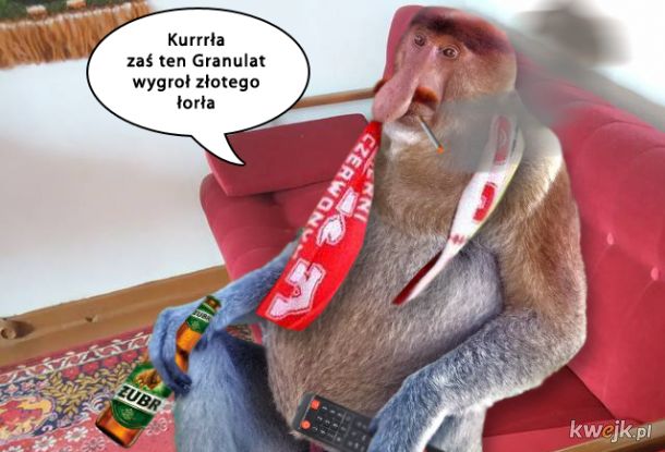 Janusz komentator skoków narciarskich