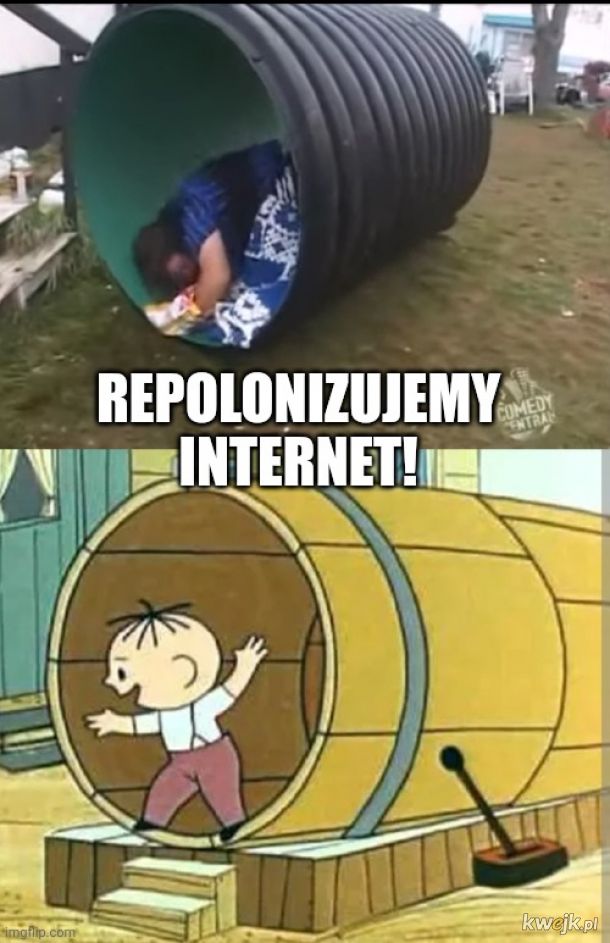 Repolonizacja internetu!