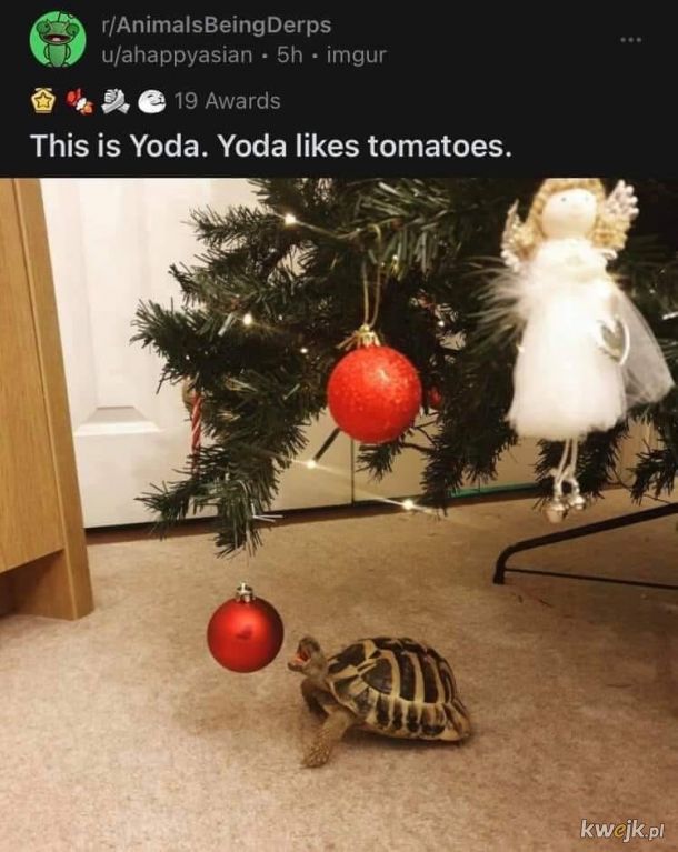 Yoda gorzko się rozczaruje