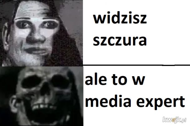 media expert