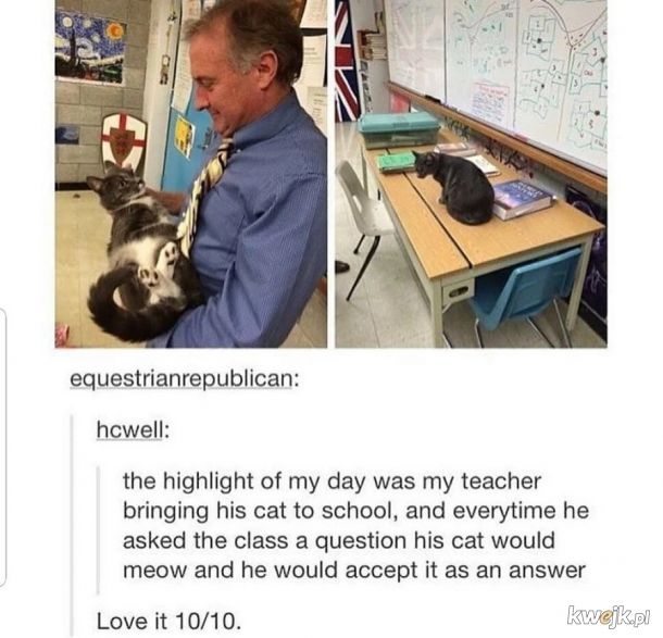 Koteł wykładowceł.