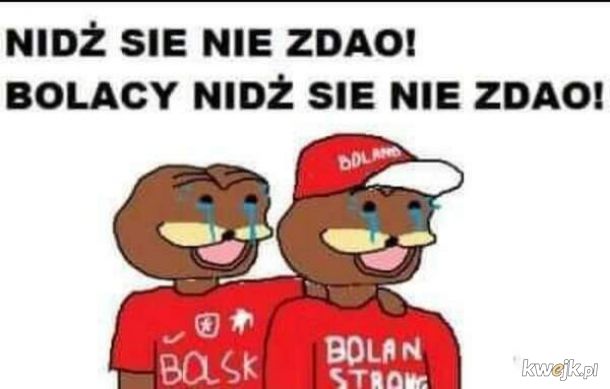 Memy po meczu Polska - Czechy, obrazek 10