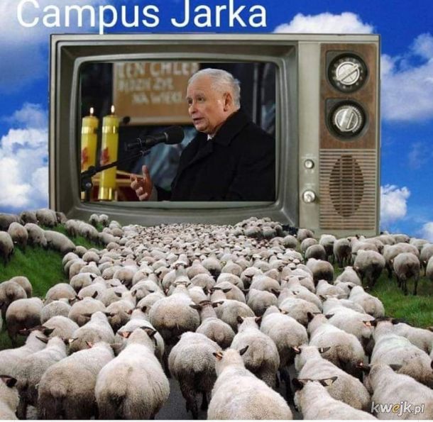 Kampus Jarka