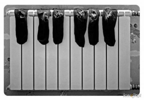 Jak pianiści suszą skarpetki