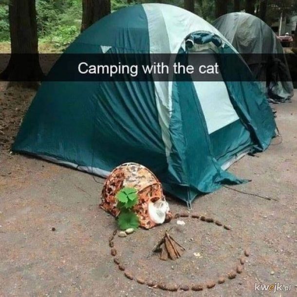 Camping z mruczkiem