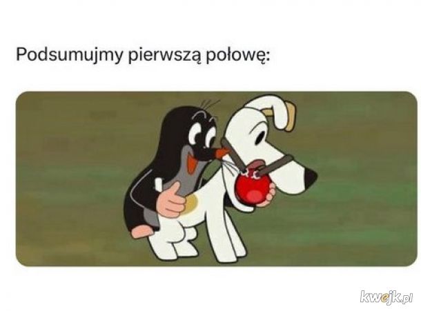 Memy po meczu Polska - Czechy, obrazek 15