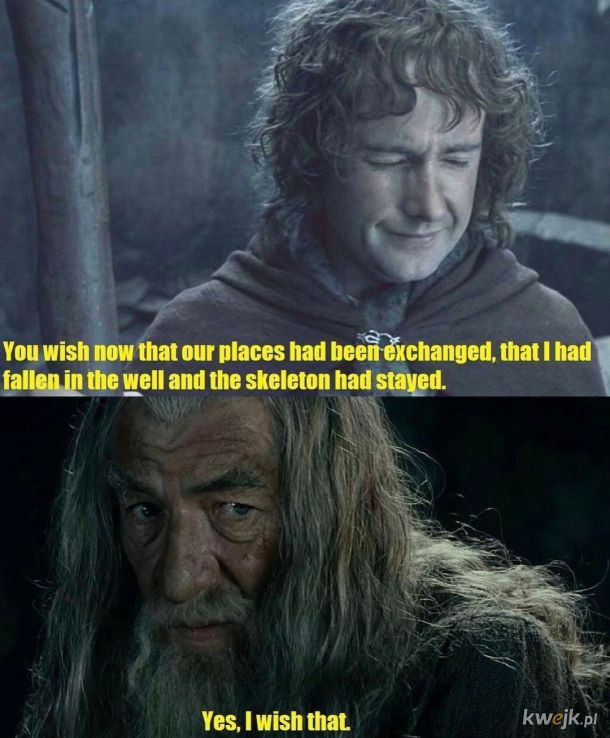 Fool of a Took