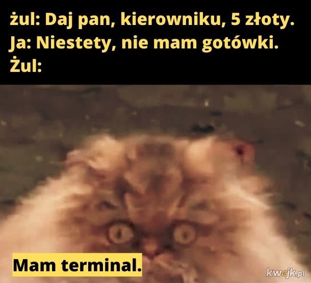Terminal.
