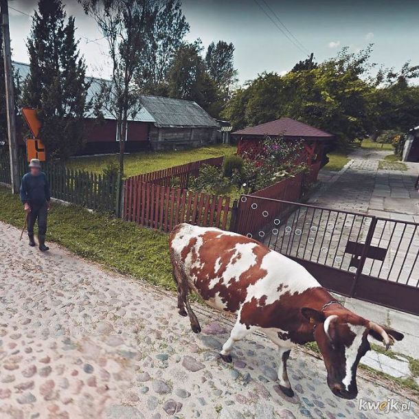 Normalne życie w Polsce przedstawione na mapach Google, obrazek 14