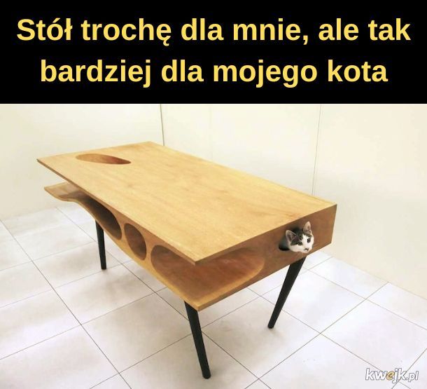 Stół dla kota.