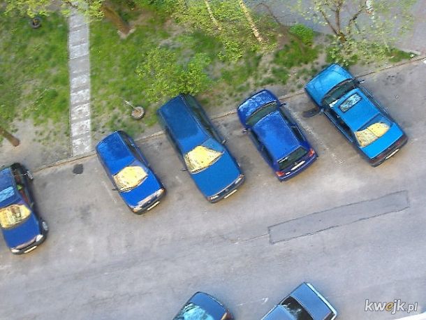 Rzadki widok - siedem niebieskich samochodów obok siebie