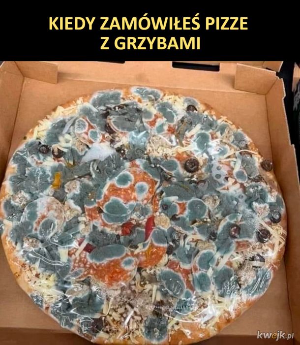 Pizza z grzybami