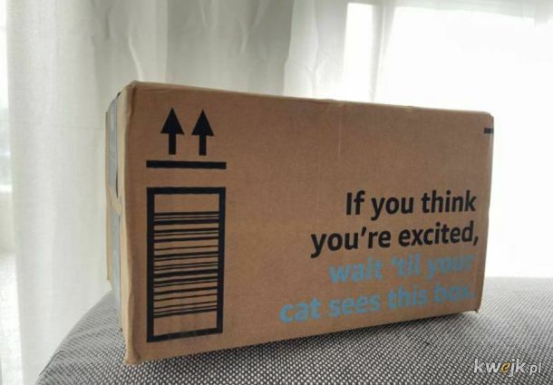 Jeśli myślisz, że jesteś podekscytowany, poczekaj aż twój kot zobaczy to pudełko.