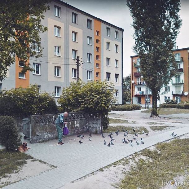 Normalne życie w Polsce przedstawione na mapach Google, obrazek 12