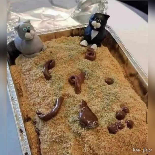 Tort dla wielbicieli kotów