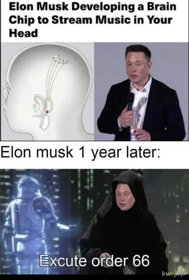 Elon Mózg