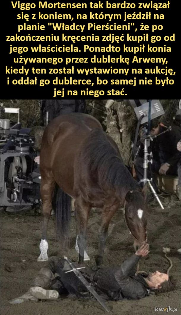Viggo Mortensen kupił konia, na którym jeździł na planie "Władcy Pierścieni"