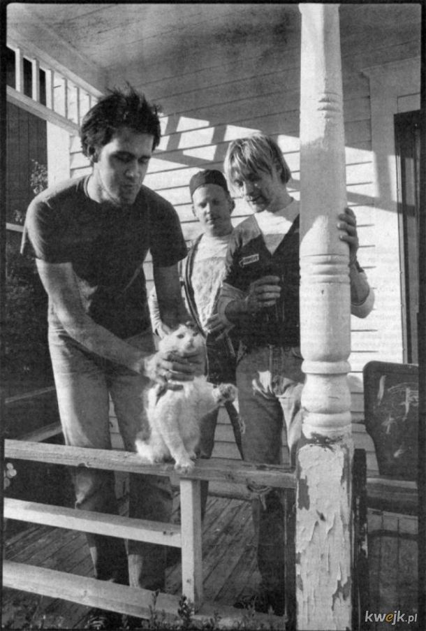 Kurt Cobain i jego kitku., obrazek 11