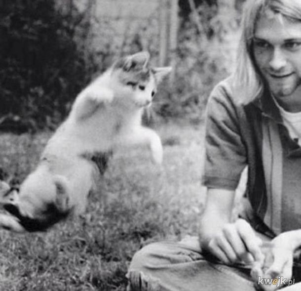 Kurt Cobain i jego kitku., obrazek 6