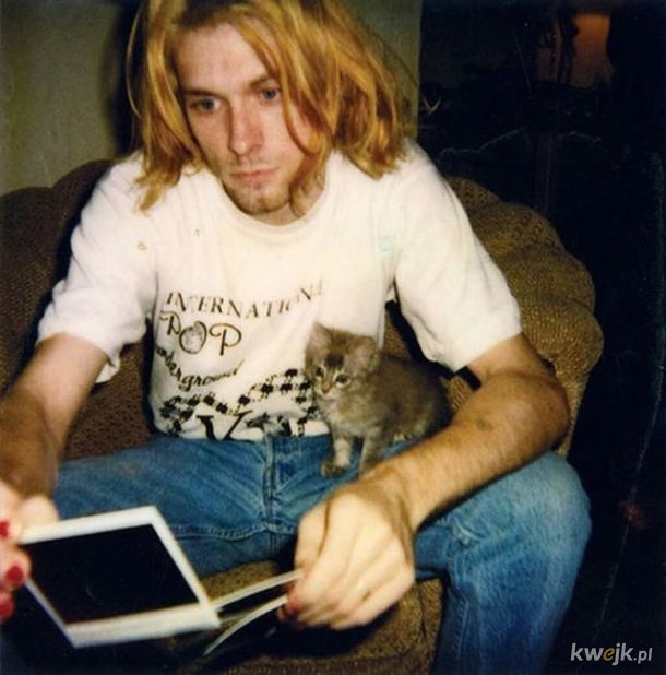 Kurt Cobain i jego kitku., obrazek 2