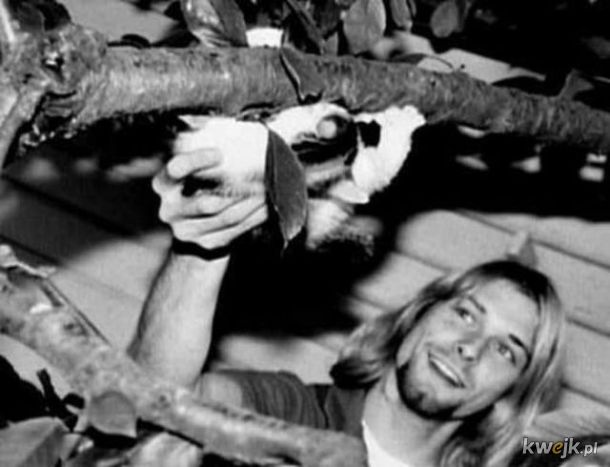 Kurt Cobain i jego kitku.