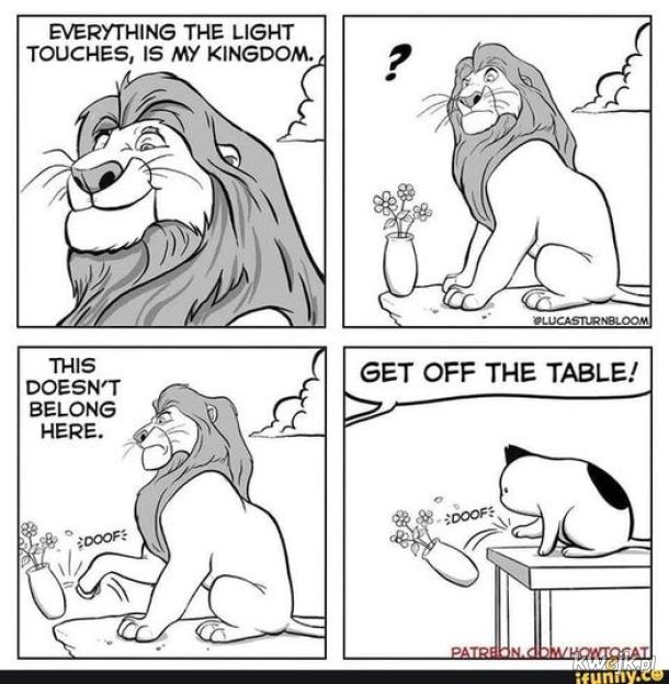 Król Lew na stole