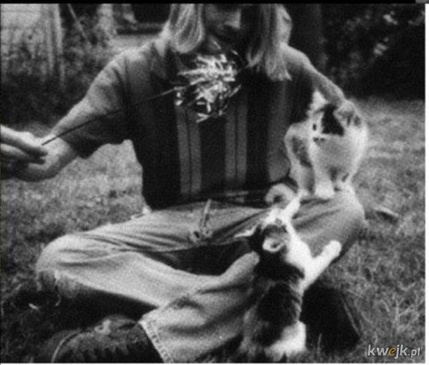 Kurt Cobain i jego kitku., obrazek 7