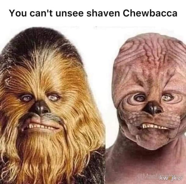 Chewie