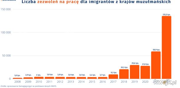 Magiczny wykres, który powoduje że wyborca pewnych partii staje się nagle obrońcą gigantycznego wzrostu napływu muzułman do Polski.