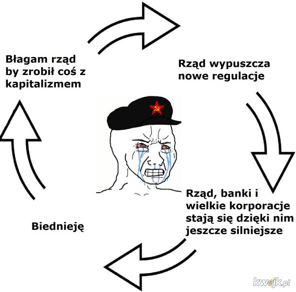 Cykl życia socjalisty