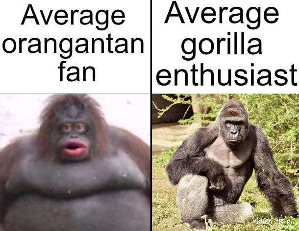 *Orangutan