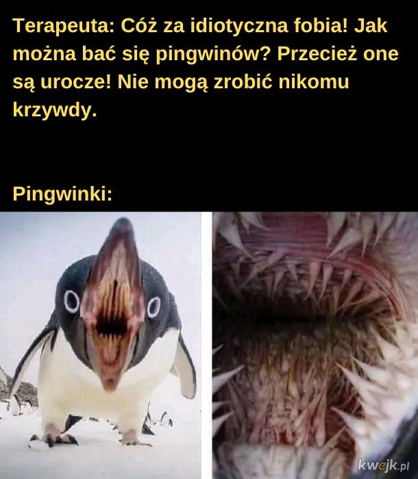 Pingwinek.
