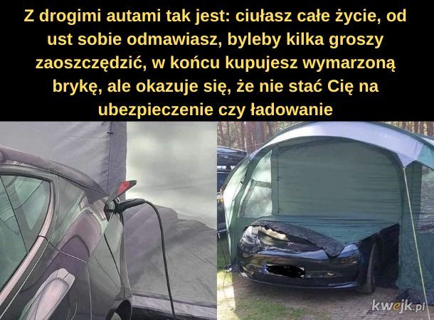 Tesla w namiocie Janusza.
