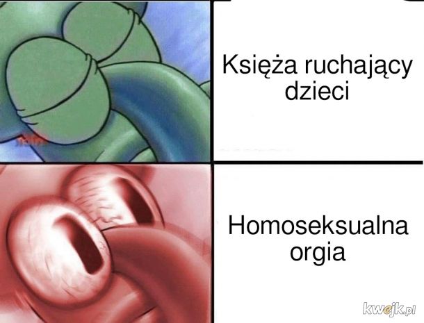 Polacy to homofoby