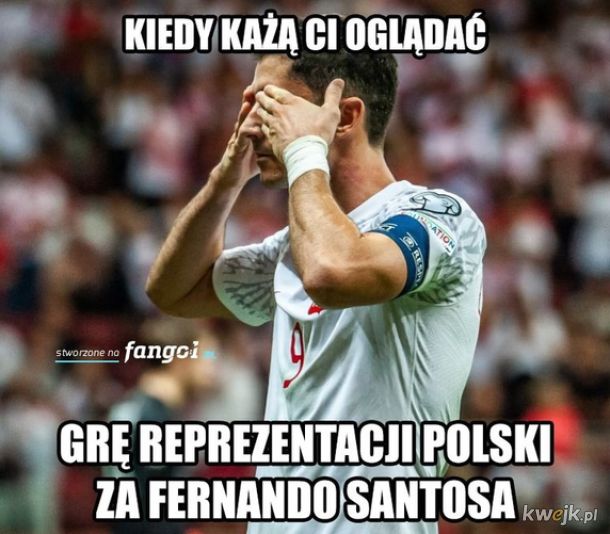 Memy po przegranym meczu Polska - Albania, obrazek 12