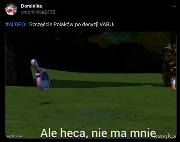 Memy po przegranym meczu Polska - Albania, obrazek 30