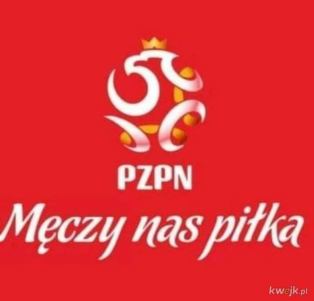 Memy po przegranym meczu Polska - Albania, obrazek 7