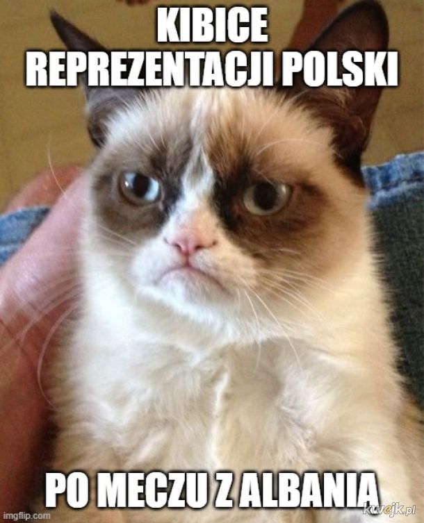 Memy po przegranym meczu Polska - Albania, obrazek 8