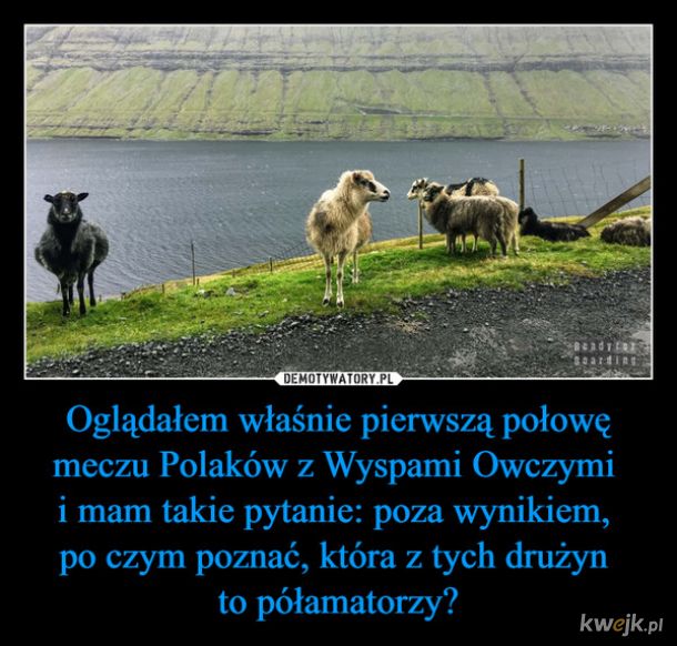 Memy po meczu Polska - Wyspy Owcze, obrazek 10