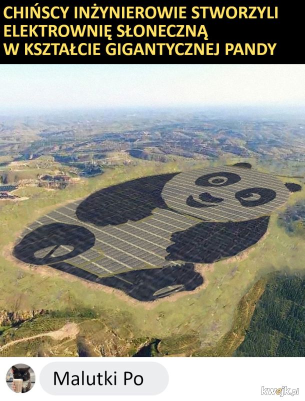 Kung Fu Panda czy to ty?