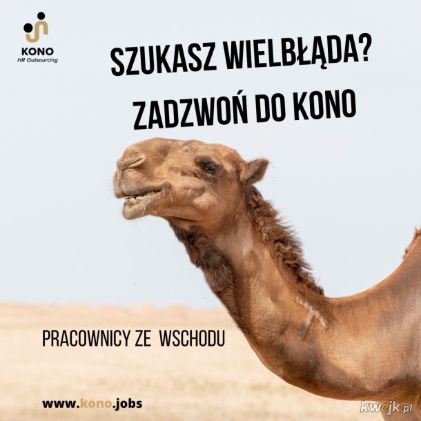 Polski marketing... jak go nie robić..