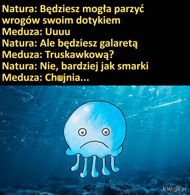 Biedna meduza