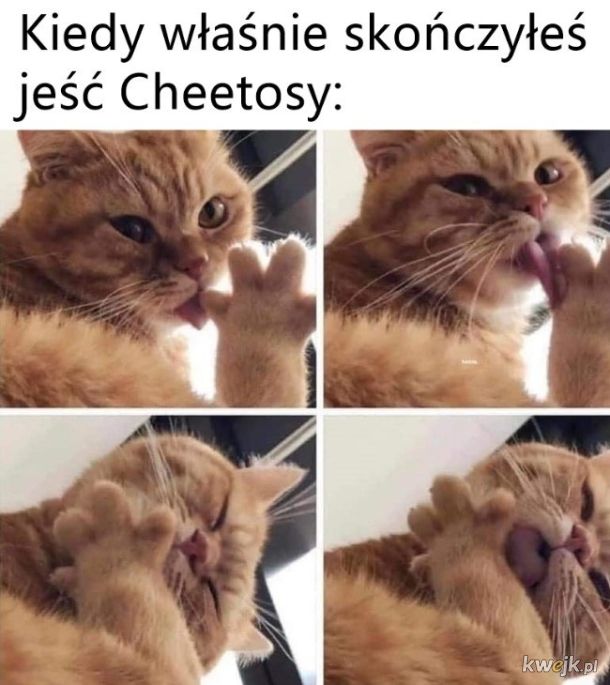 Cheetosy