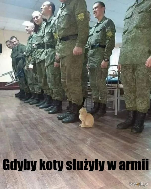 W armii