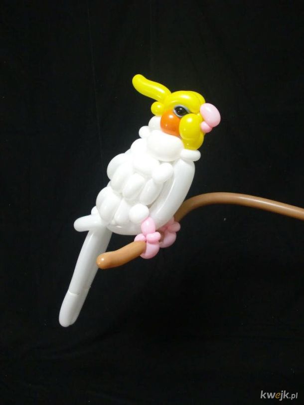 Balonowe zwierzaki autorstwa Masayoshi Matsumoto.