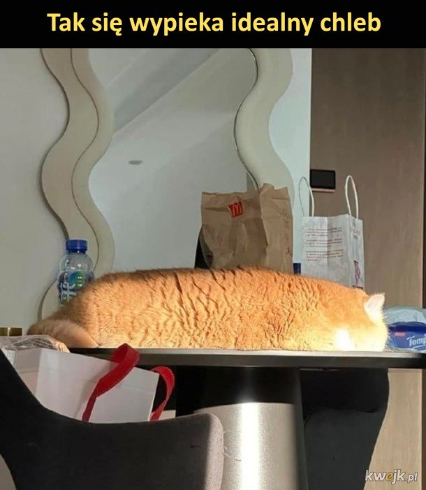 Idealny chleb