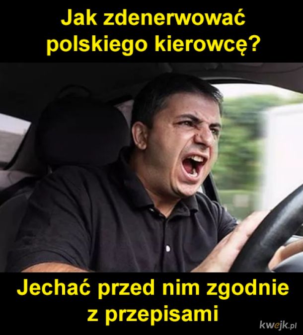 Polski kierowca