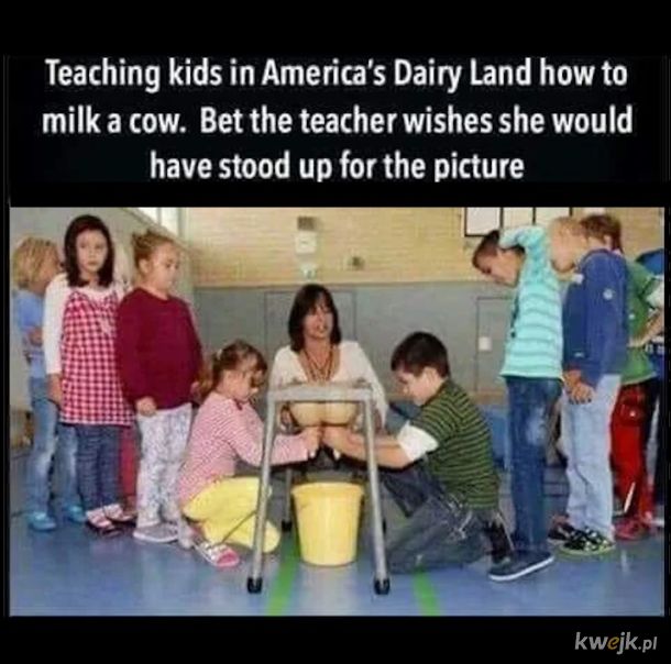 Gdy uczysz dzieci doić krowy
