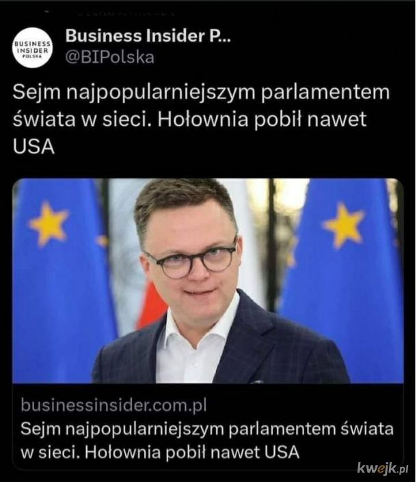 Polski Sejm w sieci