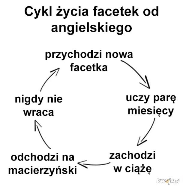 Cykl życia facetek od angielskiego